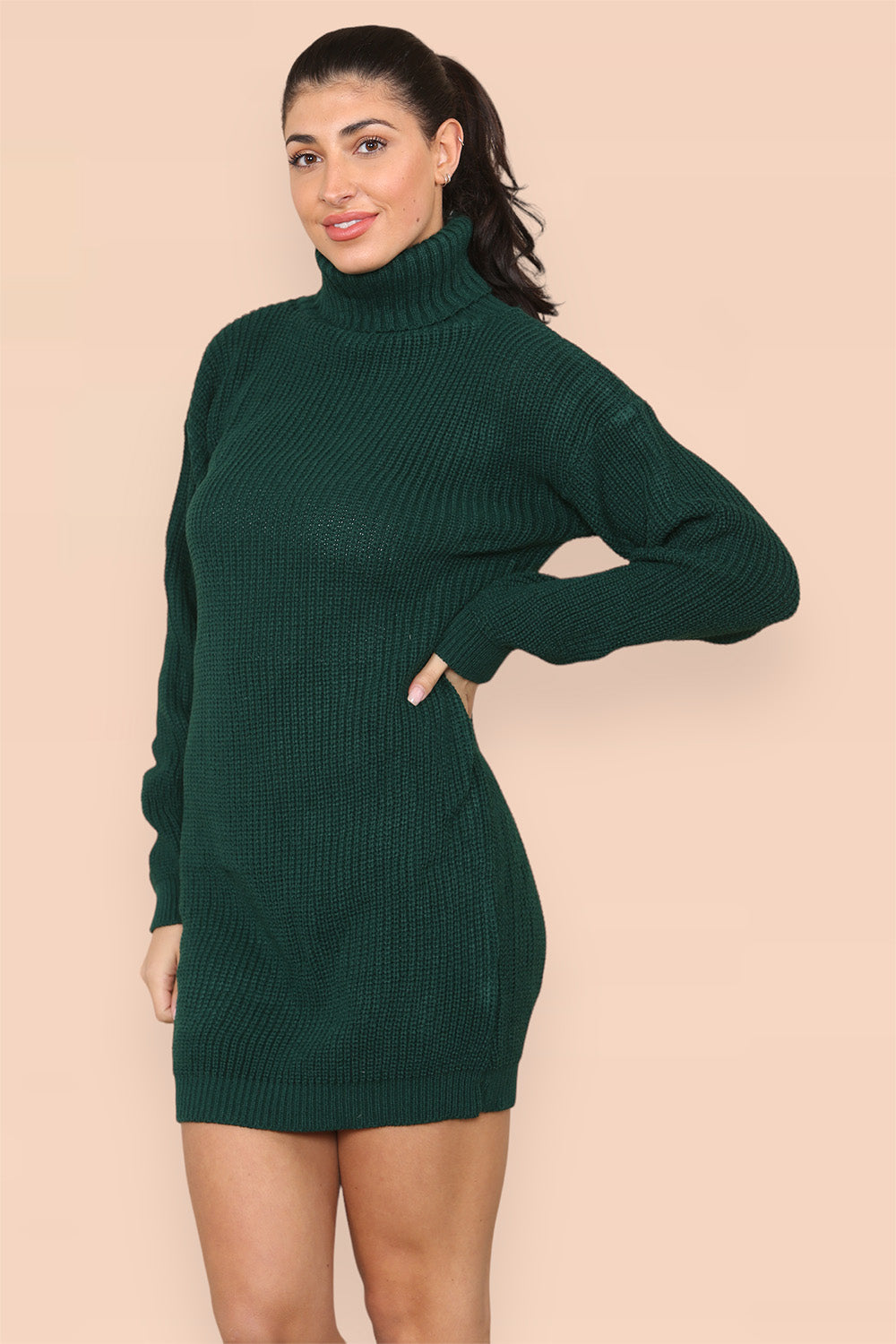 Polo Roll Neck Over Sized Ribbed Knitted Florescent Chunky Sweater Jumper Dress - 9th Degree